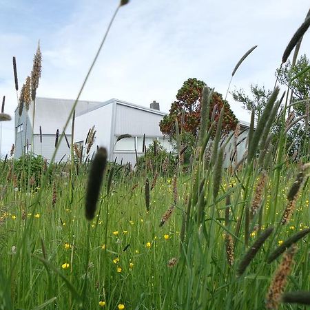 Eyvindarholt Guesthouse Álftanes Buitenkant foto